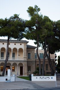 cicatrici_aurum_evalaudace_03