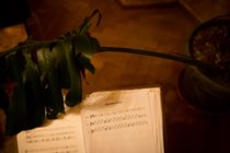 turba_rho_evalaudace_05