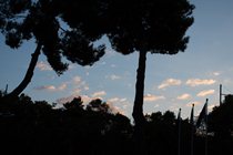 cicatrici_aurum_evalaudace_15